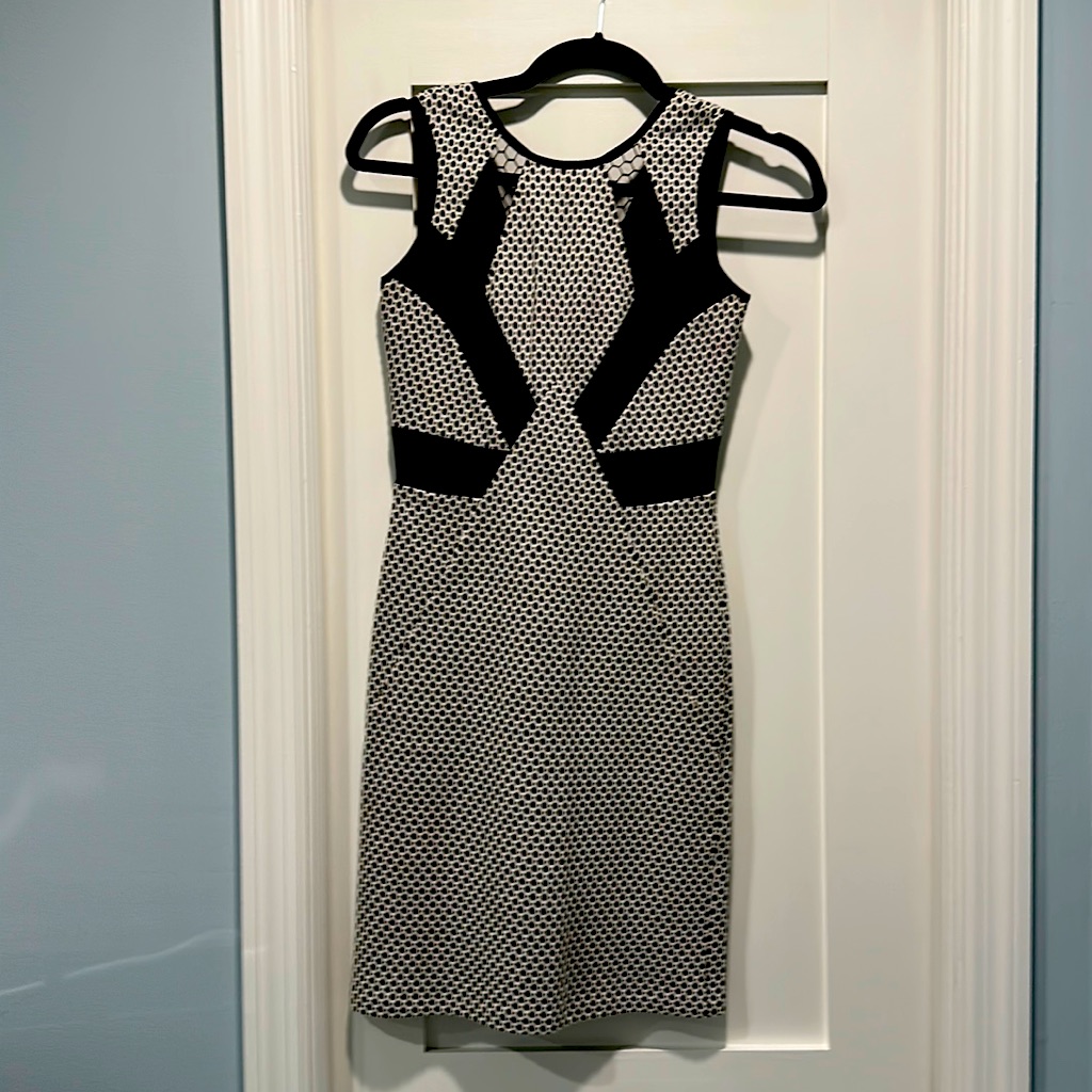 Amanda Uprichard Dress Petite
